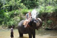 Heritage & Wildlife of Sri Lanka