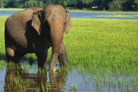 Trip to World of Mother Nature